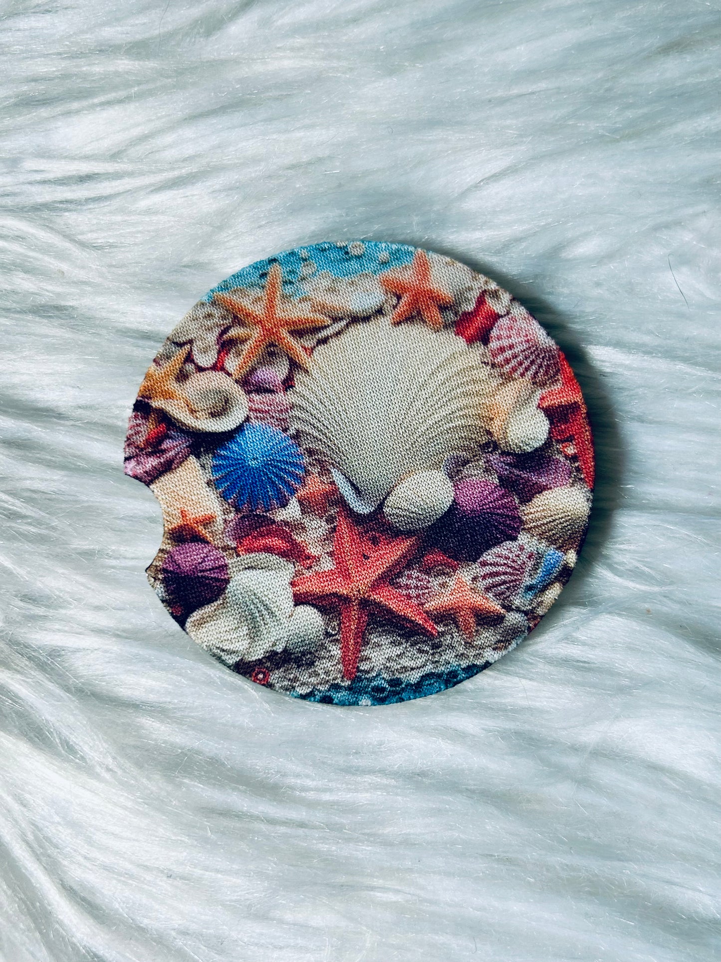 Car Coaster - Shells